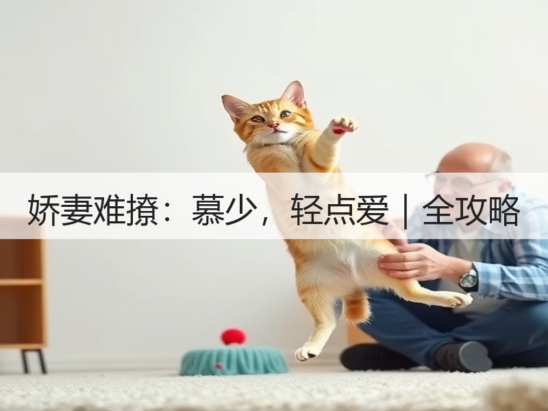 娇妻难撩：慕少，轻点爱｜全攻略