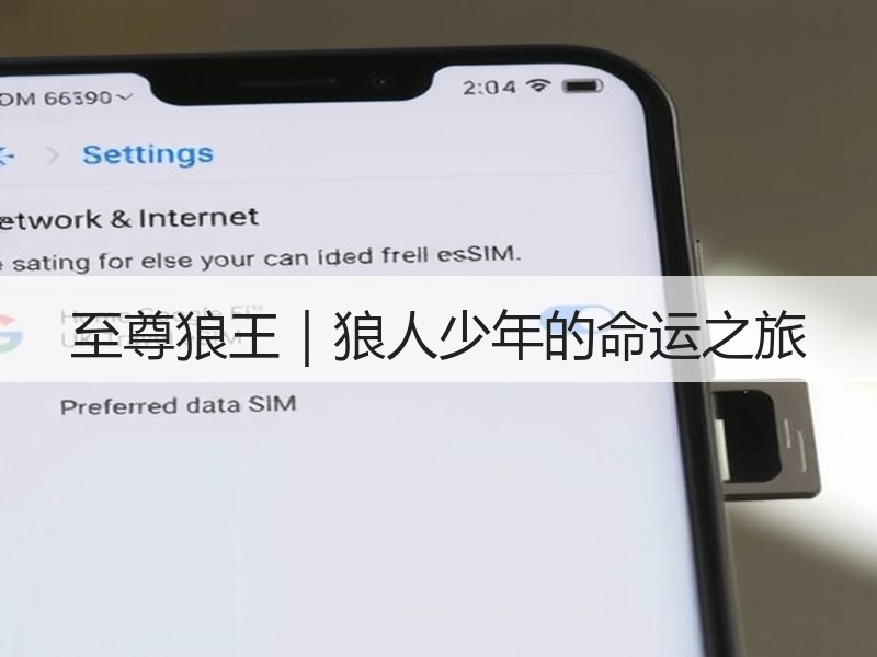 至尊狼王｜狼人少年的命运之旅