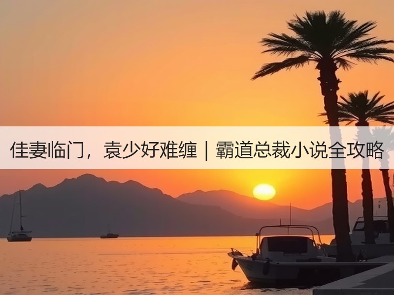 佳妻临门，袁少好难缠｜霸道总裁小说全攻略
