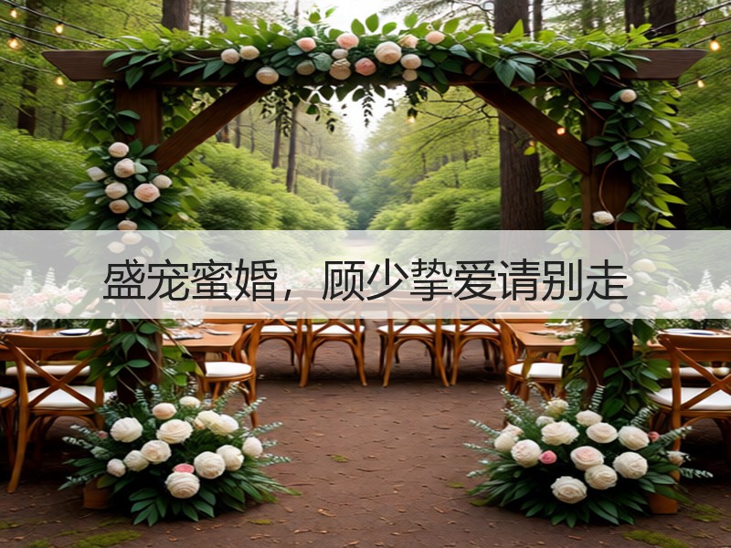 盛宠蜜婚，顾少挚爱请别走