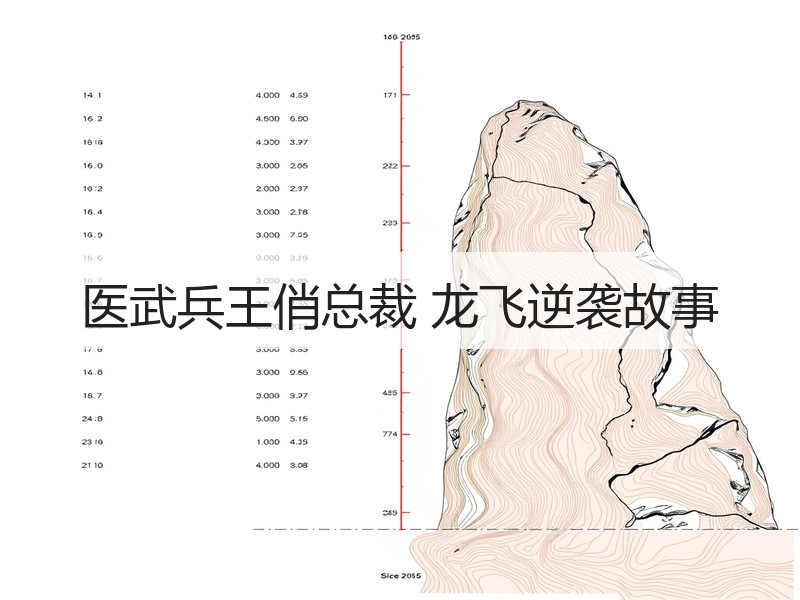 医武兵王俏总裁 龙飞逆袭故事