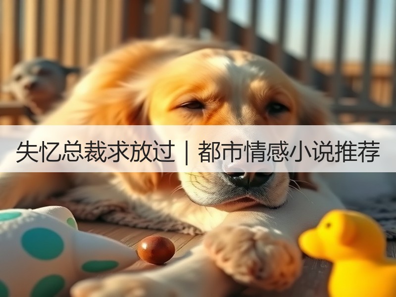 失忆总裁求放过｜都市情感小说推荐