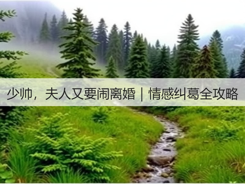 少帅，夫人又要闹离婚｜情感纠葛全攻略