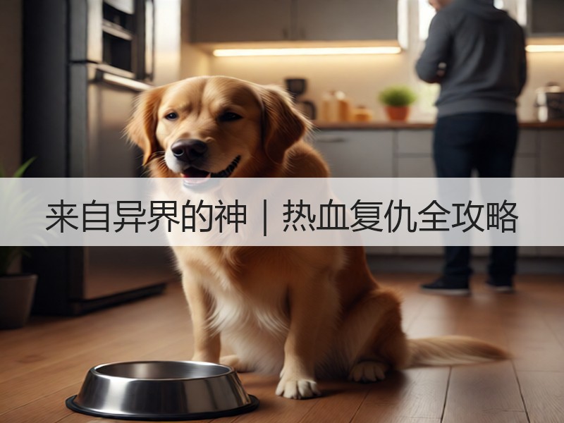 来自异界的神｜热血复仇全攻略