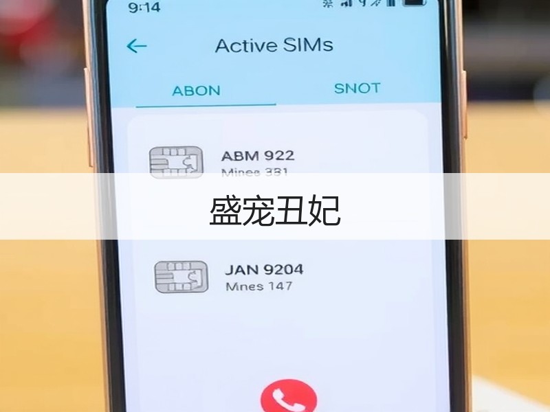 盛宠丑妃