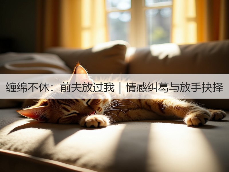 缠绵不休：前夫放过我｜情感纠葛与放手抉择