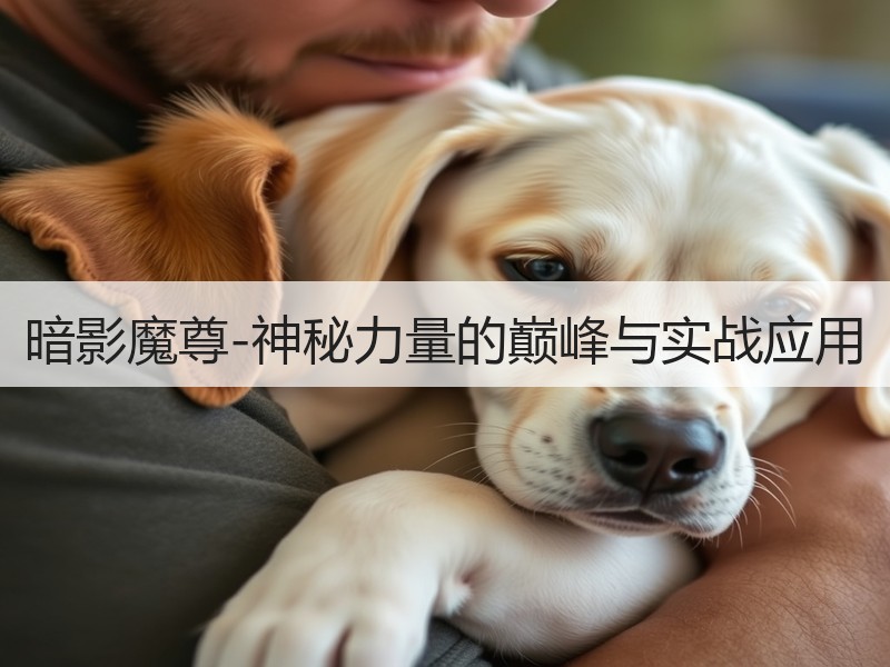 暗影魔尊-神秘力量的巅峰与实战应用