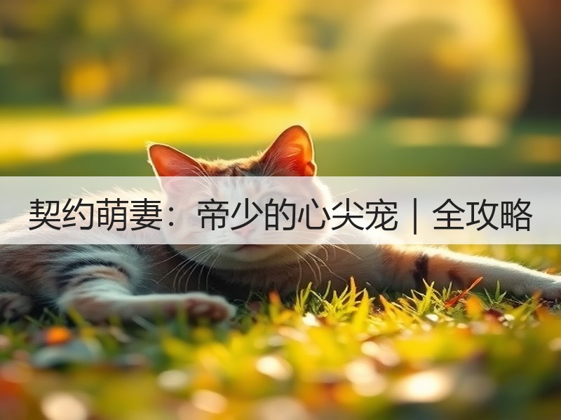 契约萌妻：帝少的心尖宠｜全攻略