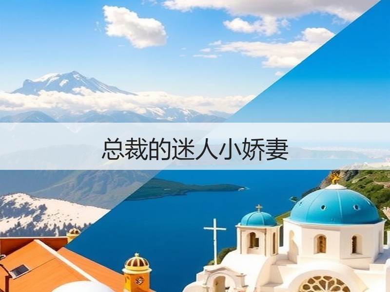 总裁的迷人小娇妻