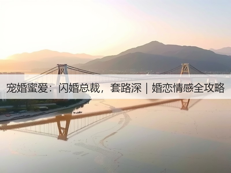 宠婚蜜爱：闪婚总裁，套路深｜婚恋情感全攻
