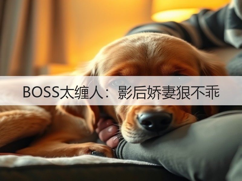 BOSS太缠人：影后娇妻狠不乖