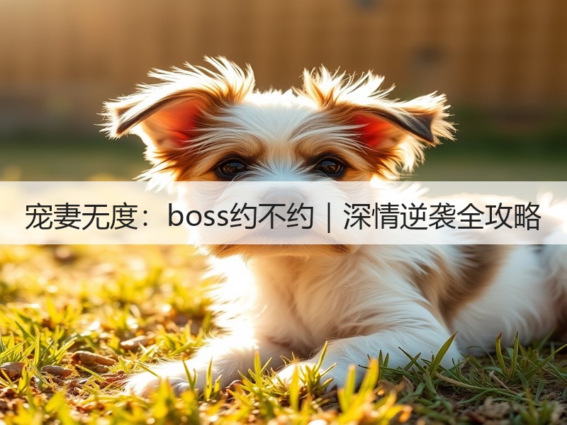 宠妻无度：boss约不约｜深情逆袭全攻略
