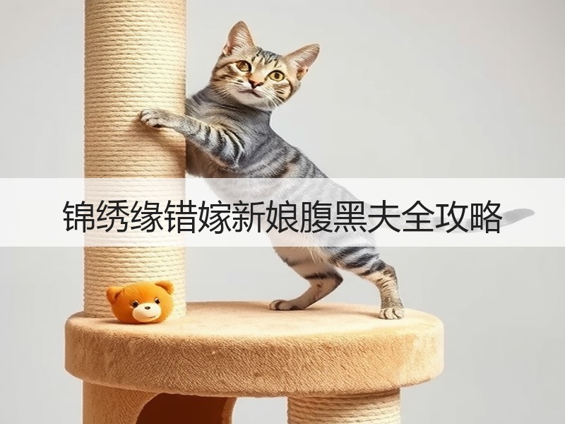 锦绣缘错嫁新娘腹黑夫全攻略