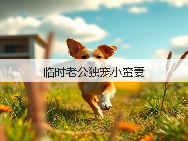 临时老公独宠小蛮妻