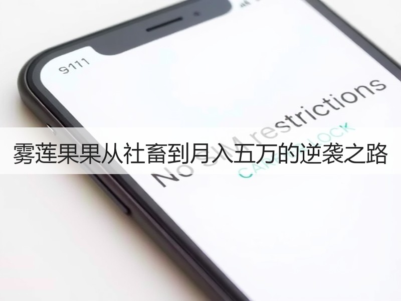 雾莲果果从社畜到月入五万的逆袭之路