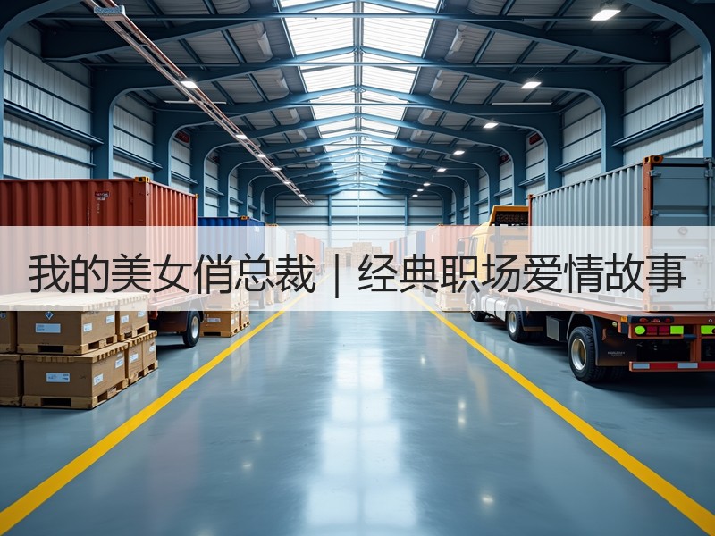 我的美女俏总裁｜经典职场爱情故事