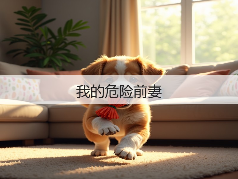 我的危险前妻