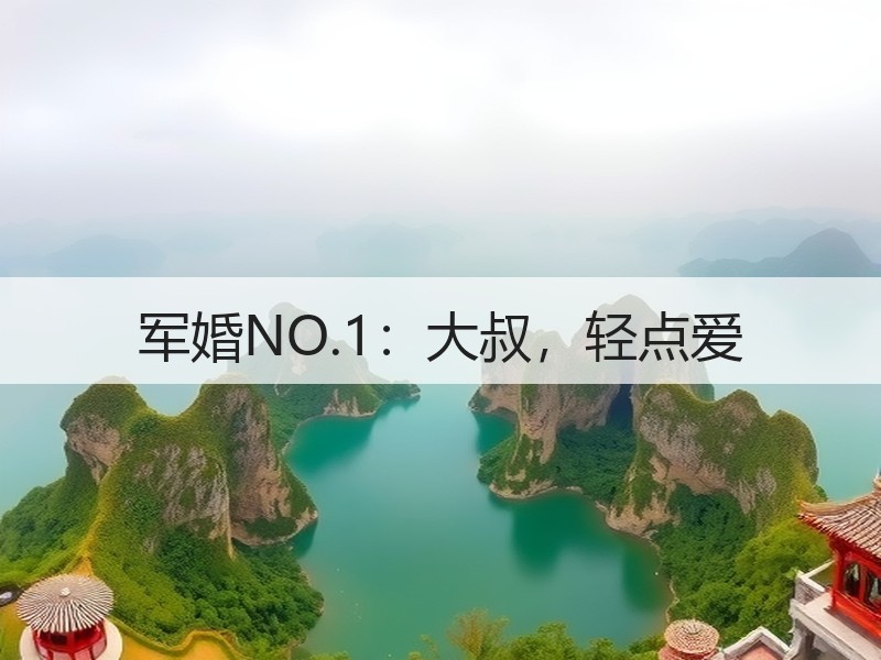 军婚NO.1：大叔，轻点爱