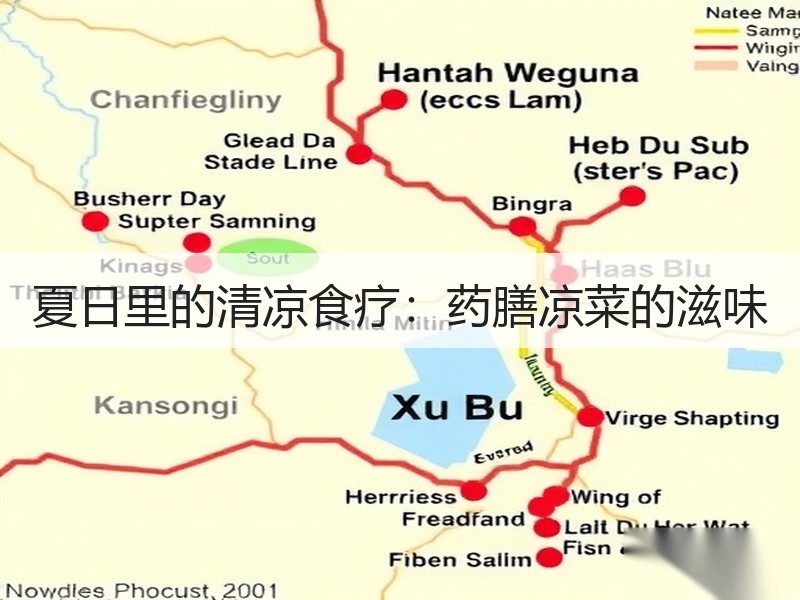 夏日里的清凉食疗：药膳凉菜的滋味