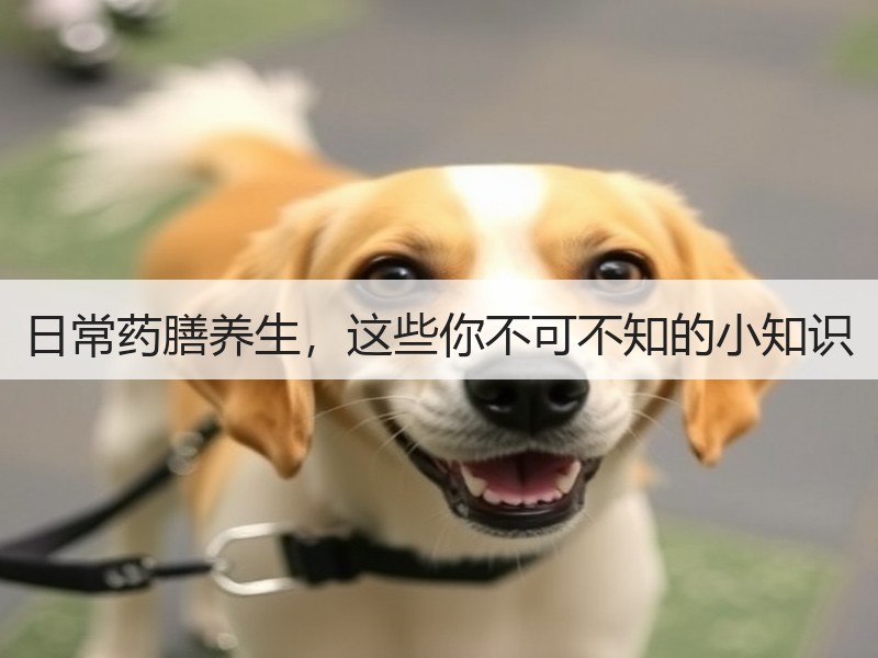 日常药膳养生，这些你不可不知的小知识
