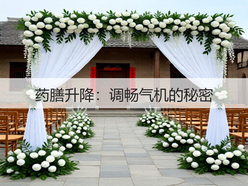 药膳升降：调畅气机的秘密