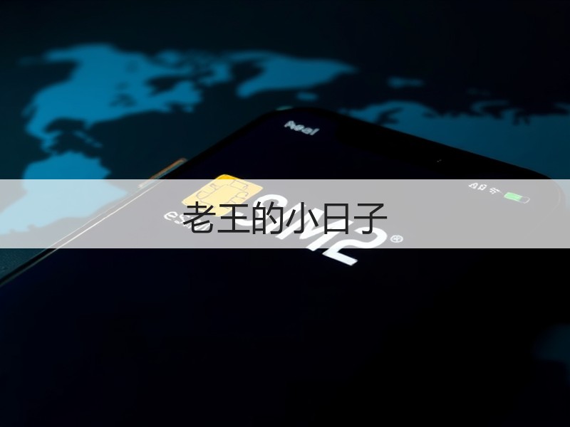老王的小日子