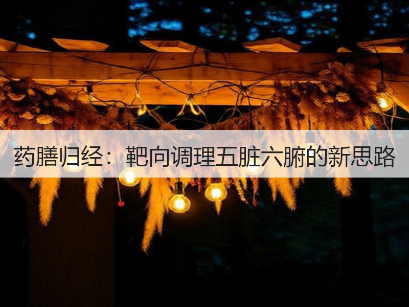 药膳归经：靶向调理五脏六腑的新思路