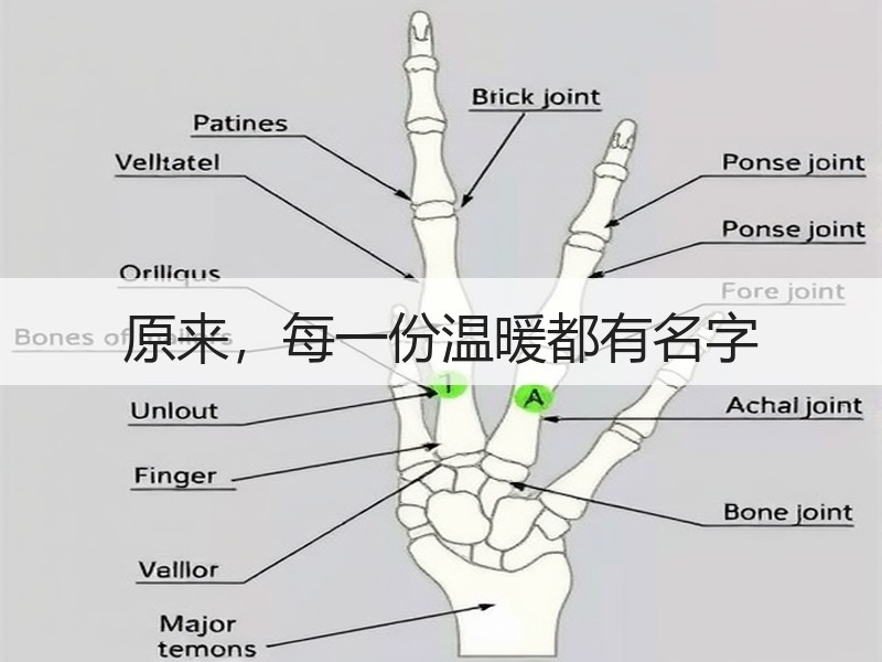 原来，每一份温暖都有名字