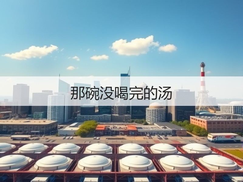 那碗没喝完的汤