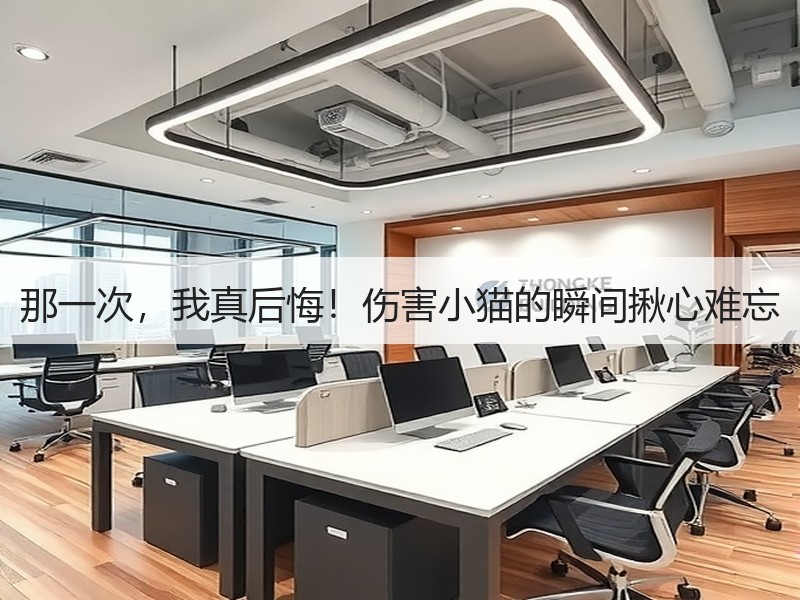 那一次，我真后悔！伤害小猫的瞬间揪心难忘