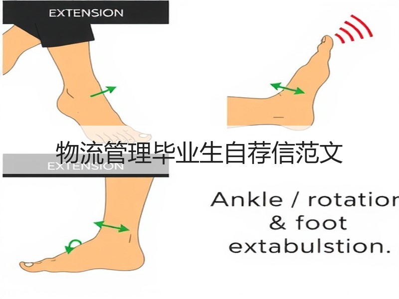 物流管理毕业生自荐信范文