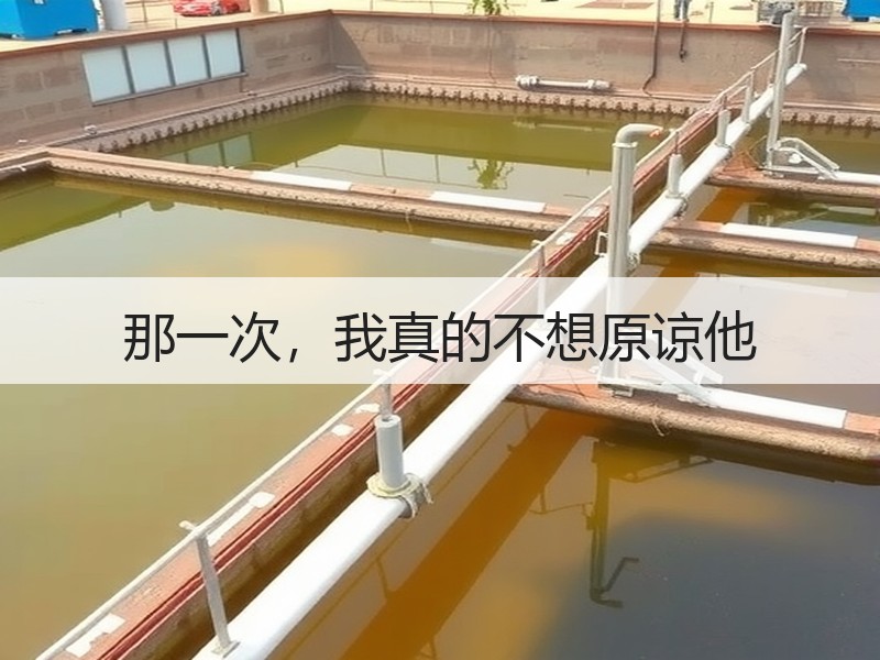 那一次，我真的不想原谅他