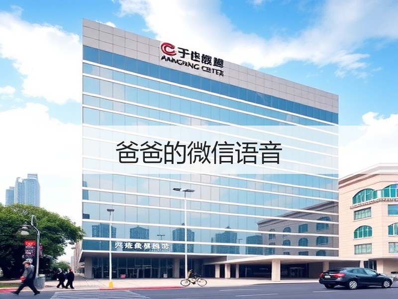 爸爸的微信语音