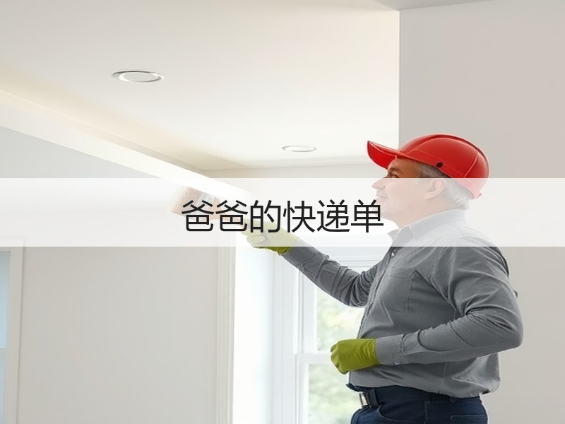 爸爸的快递单