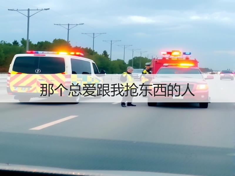 那个总爱跟我抢东西的人