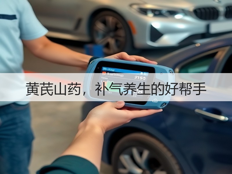 黄芪山药，补气养生的好帮手